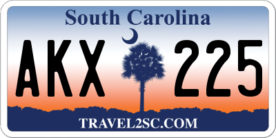 SC license plate AKX225