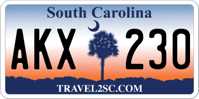 SC license plate AKX230