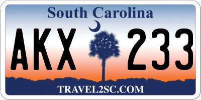 SC license plate AKX233