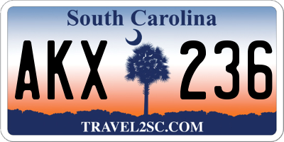 SC license plate AKX236