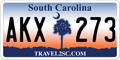 SC license plate AKX273
