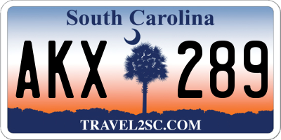 SC license plate AKX289