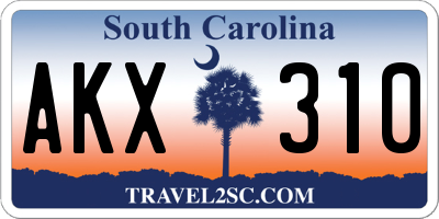 SC license plate AKX310