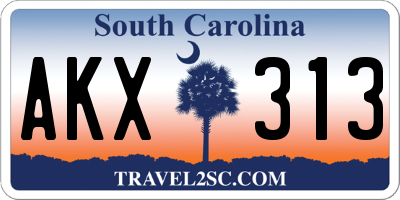 SC license plate AKX313