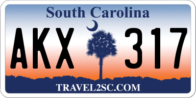 SC license plate AKX317