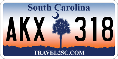 SC license plate AKX318
