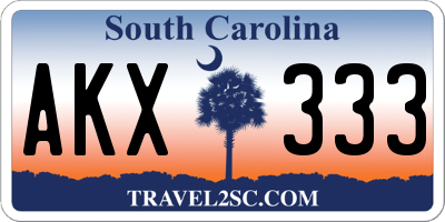 SC license plate AKX333