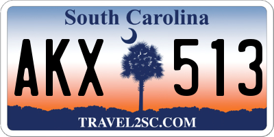 SC license plate AKX513