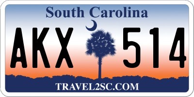 SC license plate AKX514