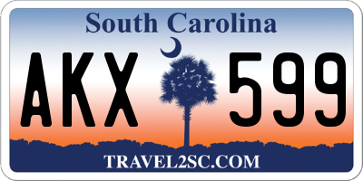 SC license plate AKX599