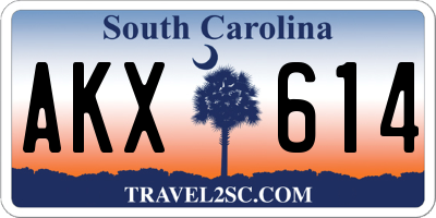 SC license plate AKX614