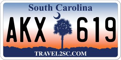 SC license plate AKX619