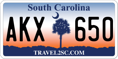 SC license plate AKX650