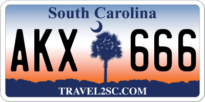SC license plate AKX666