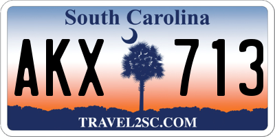 SC license plate AKX713