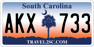 SC license plate AKX733