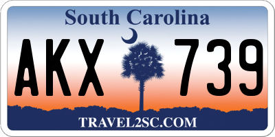 SC license plate AKX739