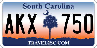 SC license plate AKX750