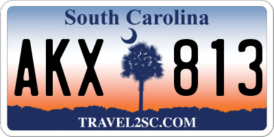 SC license plate AKX813