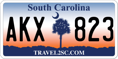 SC license plate AKX823