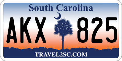 SC license plate AKX825