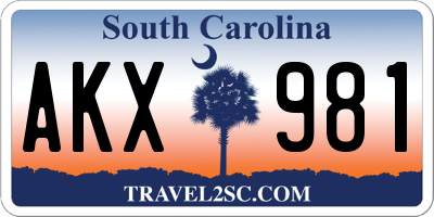SC license plate AKX981