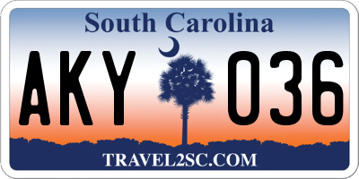 SC license plate AKY036
