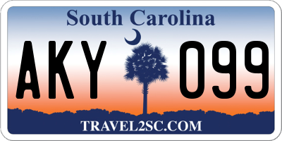 SC license plate AKY099