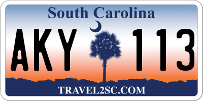 SC license plate AKY113