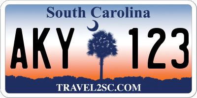 SC license plate AKY123