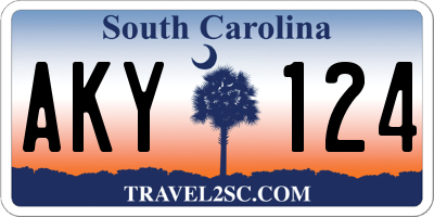SC license plate AKY124