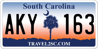 SC license plate AKY163