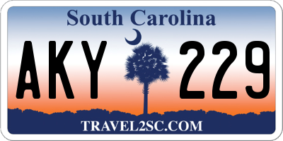 SC license plate AKY229