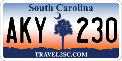SC license plate AKY230