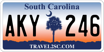 SC license plate AKY246