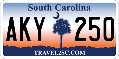 SC license plate AKY250