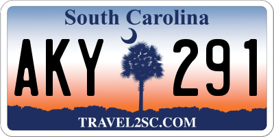 SC license plate AKY291