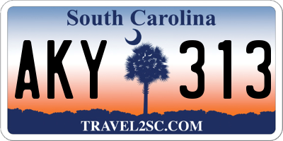 SC license plate AKY313