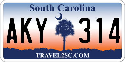 SC license plate AKY314
