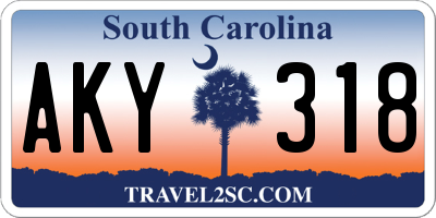 SC license plate AKY318