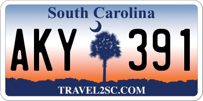 SC license plate AKY391