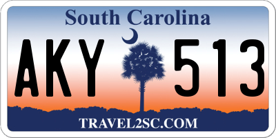 SC license plate AKY513
