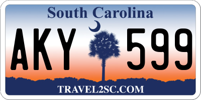 SC license plate AKY599
