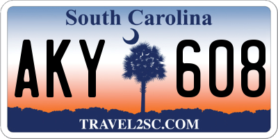 SC license plate AKY608