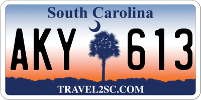 SC license plate AKY613