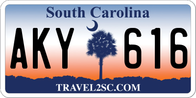 SC license plate AKY616