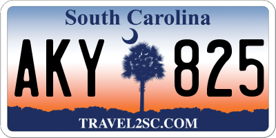 SC license plate AKY825