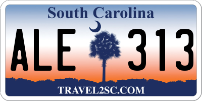 SC license plate ALE313
