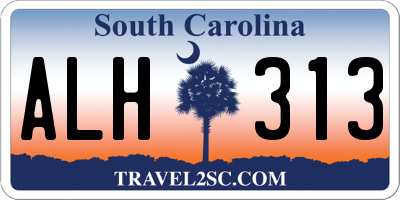 SC license plate ALH313