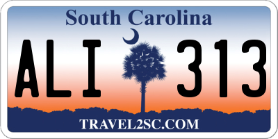 SC license plate ALI313